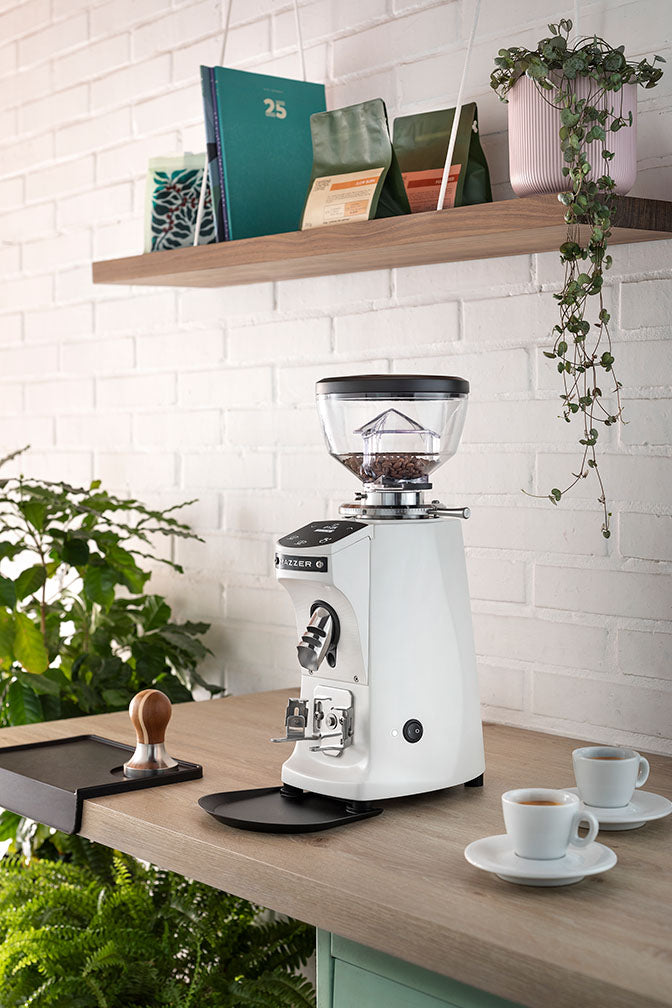 Mazzer Mini compact 64mm flat burr grinder on demand
